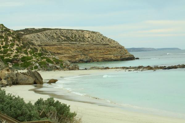 南澳袋鼠島風光之 海豹灣 南澳袋鼠島風光之 海豹灣