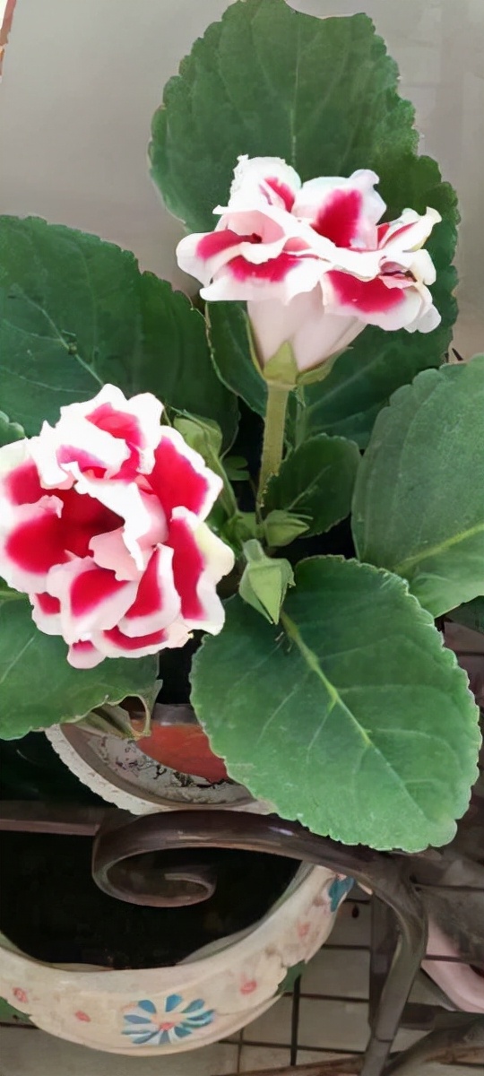 這10個道理，過了40歲之後才懂，你懂了幾個？