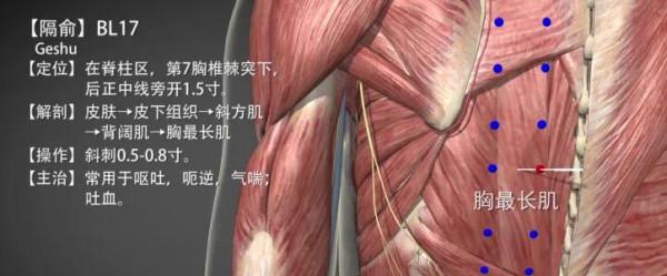 膈俞穴—活血止痛主治一切血癥