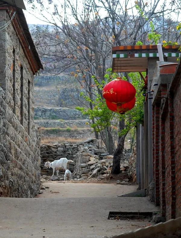 原創故事《蒙山流雲》 原創故事《蒙山流雲》