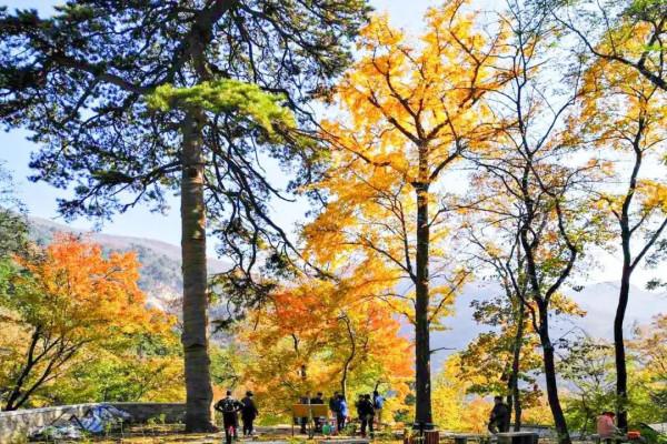 貫穿美景的靈魂公路,房山最“紅”賞秋打卡地 貫穿美景的靈魂公路,房山最“紅”賞秋打卡地