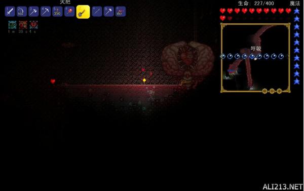 《泰拉瑞亞》新手開荒攻略 實用玩法及小技巧分享