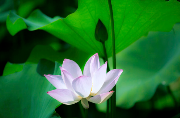 一個人值不值得交往,可以看這四點 一個人值不值得交往,可以看這四點