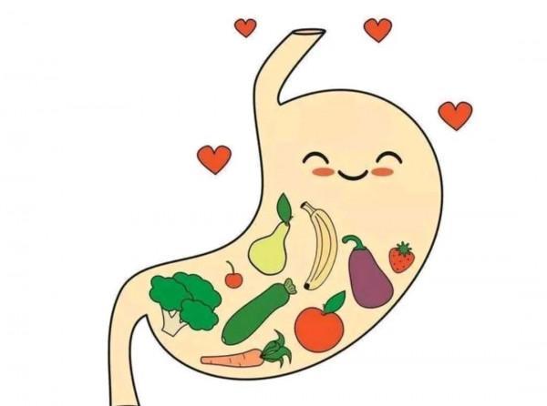 你知道嗎？人三天時間就能生出一個完整的胃