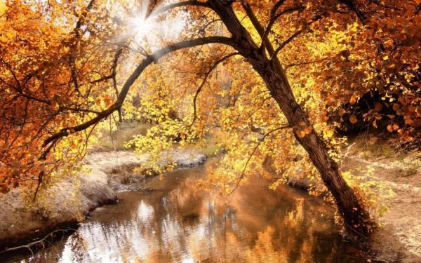 英國的秋季美不勝收