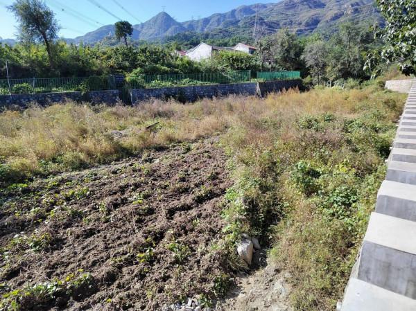 北京西山鳳凰嶺，騰雲駕霧的感覺，真是適合城市喧囂過後迴歸自然