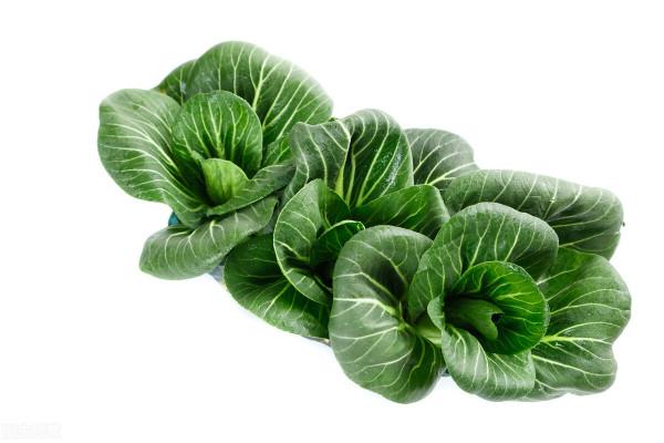 蔫掉的青菜不捨得扔?一招就讓久放的蔬菜碧綠如新 蔫掉的青菜不捨得扔?一招就讓久放的蔬菜碧綠如新