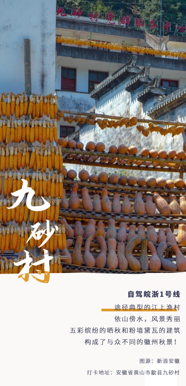 安徽秋色末班車,你趕上了嗎? 安徽秋色末班車,你趕上了嗎?