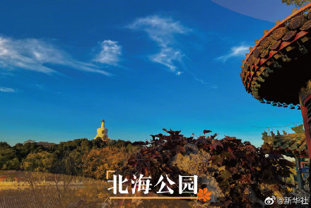 打卡北京秋日美景