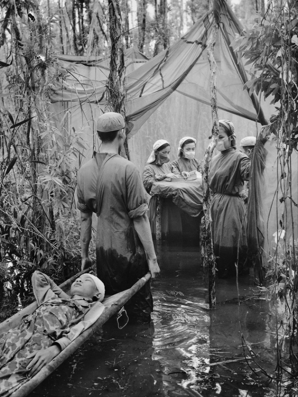 30張活久見的照片,兩棵大樹緊緊地抱在一起,阿里和泰森差距很大 30張活久見的照片,兩棵大樹緊緊地抱在一起,阿里和泰森差距很大