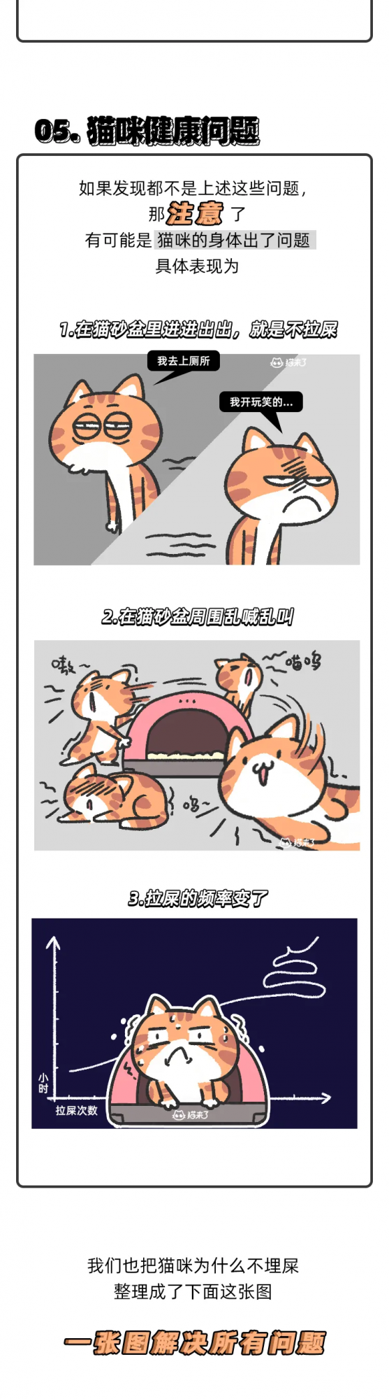 “我家貓學不會用貓砂盆，醫生說它是智障？”