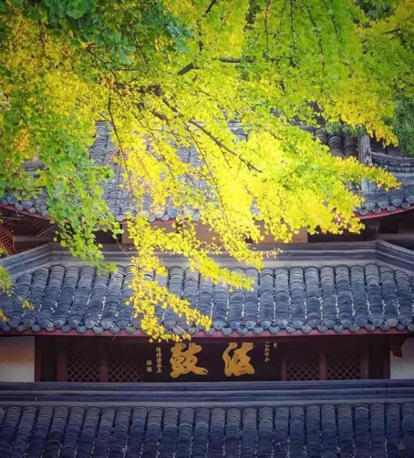 佛說:傷害過你的人,總有一天會遇到報應 佛說:傷害過你的人,總有一天會遇到報應