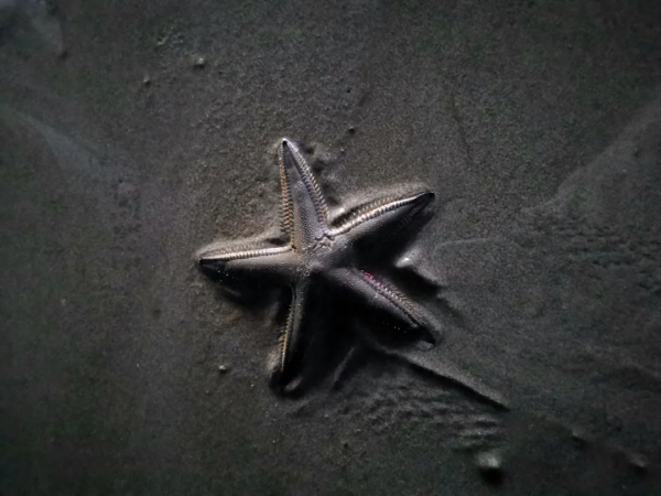 北海潿洲島遊玩全攻略:只看這篇文章就足夠了 北海潿洲島遊玩全攻略:只看這篇文章就足夠了