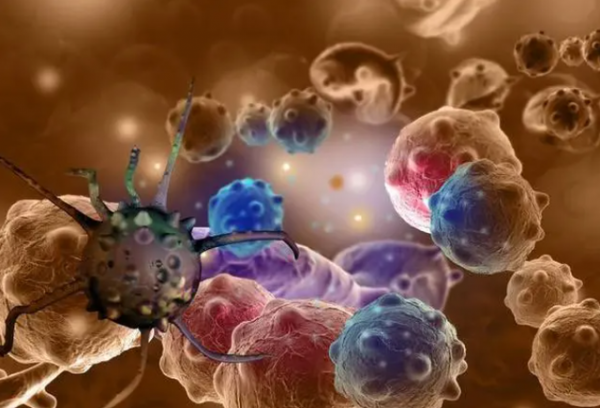 心臟為什麼不會出現癌細胞?看完或許會明白 心臟為什麼不會出現癌細胞?看完或許會明白