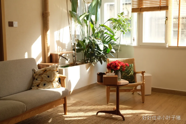 看完她家，才發現我對79㎡的潛力一無所知