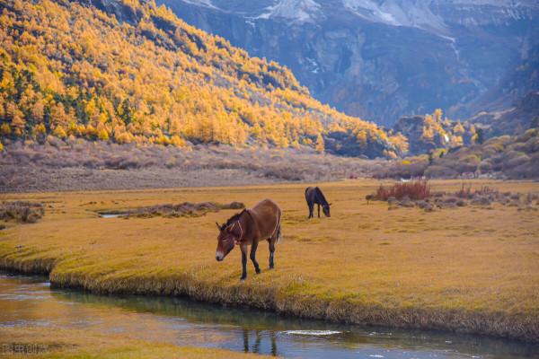 10月份欣賞秋色最值得去的10個地方 10月份欣賞秋色最值得去的10個地方