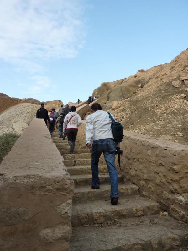 「突尼西亞2014」託澤尓（一）&mdash;&mdash;沙漠中的綠寶石