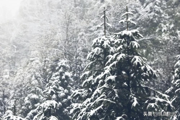 珙縣王家四里坡，看雪