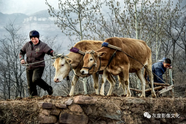 10月太行秋攝 天路、掛壁公路、石板房曬秋、古村落風光人文訓練營