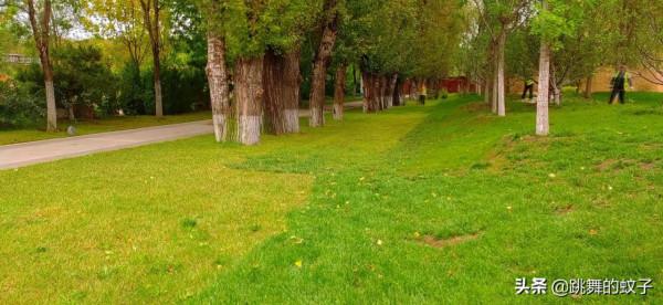 北京世園公園去了N多次還想去，我不會有問題吧？