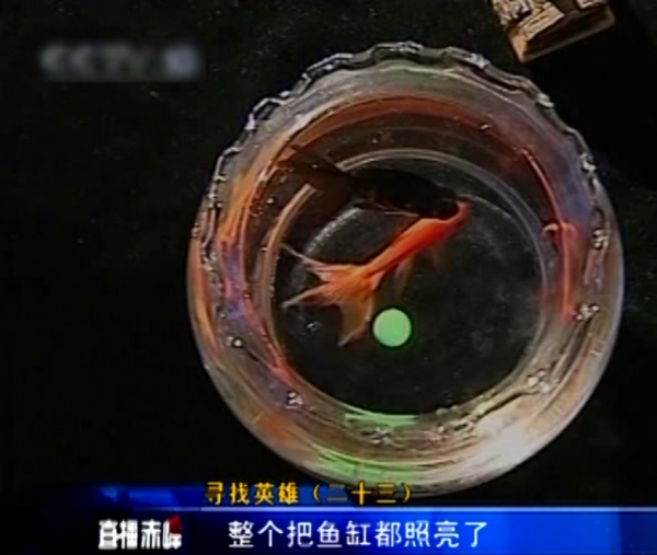 1971年，退伍軍人救下老人，獲贈一個珠寶球，38年後發現價值2億