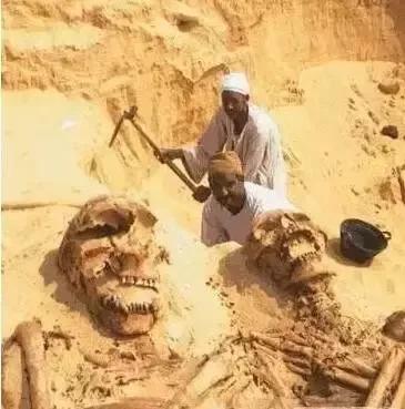 探索揭秘！泰坦巨人族的傳說被解開啦