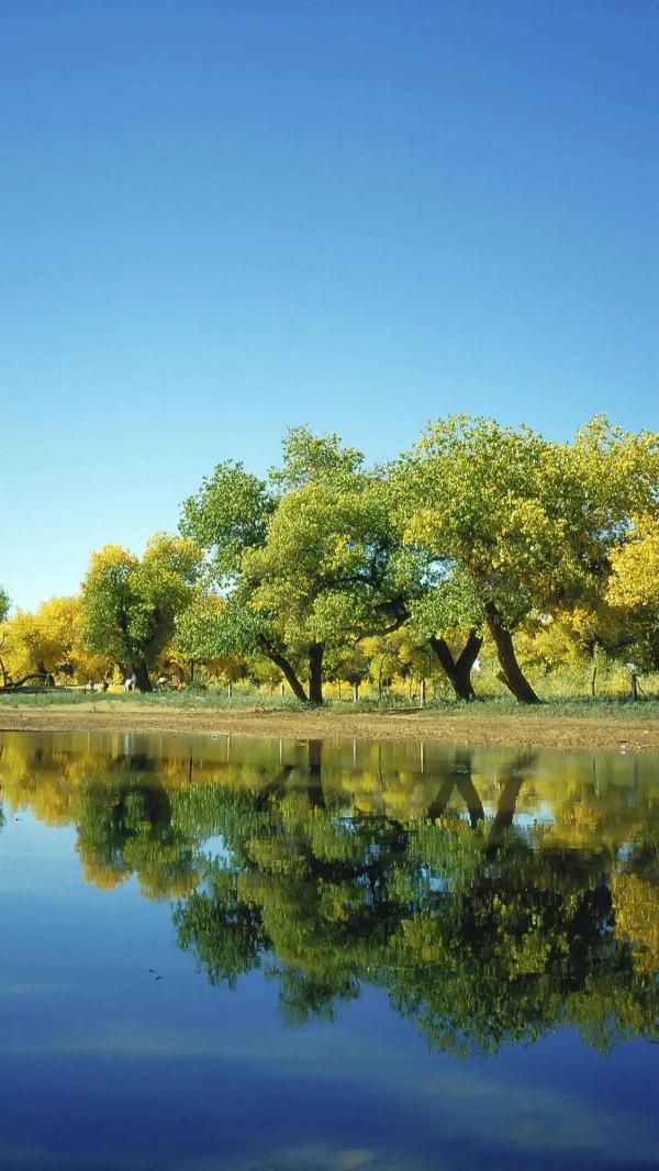 美！桂林山水甲天下 陽朔堪稱甲桂林 人間仙境美如畫 人間仙境