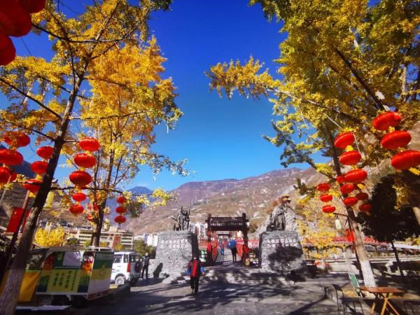 絕美！銀杏盡染無憂城，只看一眼就“淪陷”