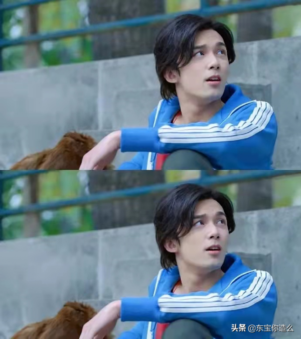 盤點今年的這6部劇,起初很嫌棄,開啟後真香,全員7分以上 盤點今年的這6部劇,起初很嫌棄,開啟後真香,全員7分以上