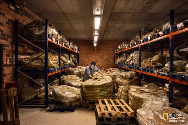 這一大片垃圾堆，竟藏滿了遠古寶藏