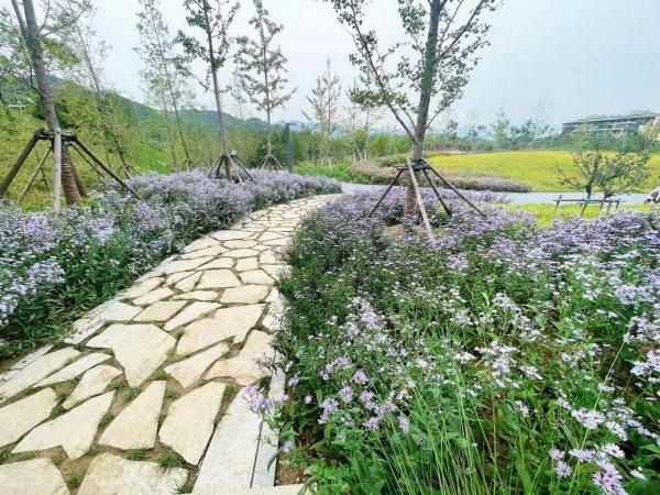 海淀再開放6處公園綠地，多是在拆遷騰退地塊上建設