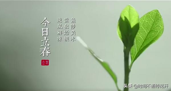 最美二十四節氣，孩子必須瞭解的傳統文化，語文知識不斷層