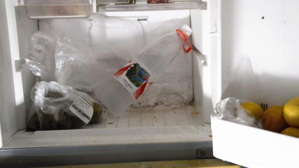 動一動冰箱的這3個地方，冰箱結冰少又省電，看完馬上試一下