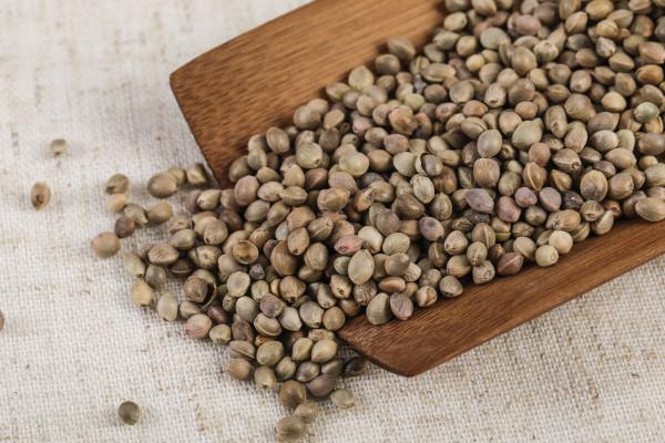 治療便秘的種仁類中藥