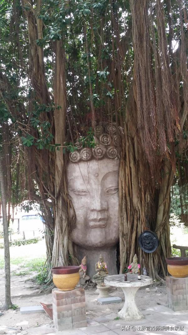 到發達國家飽眼福，到發展中國家飽口福