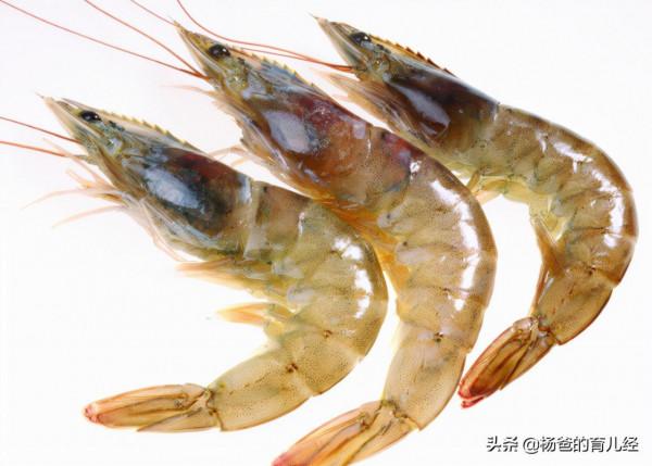 分享一款孩子愛吃的椰奶咖哩蝦，風味濃郁，營養美味的育兒菜餚