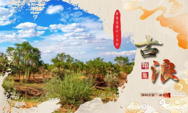 【微海報】古浪印象（三）