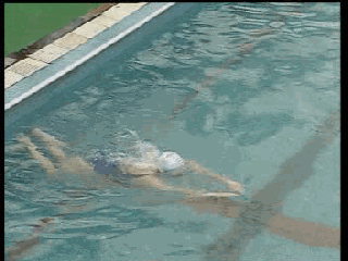 爬泳動作,五個頭部和手部最容易出現的常見錯誤問題 爬泳動作,五個頭部和手部最容易出現的常見錯誤問題