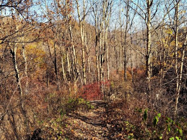 北京懷柔喇叭溝門原始森林遊記