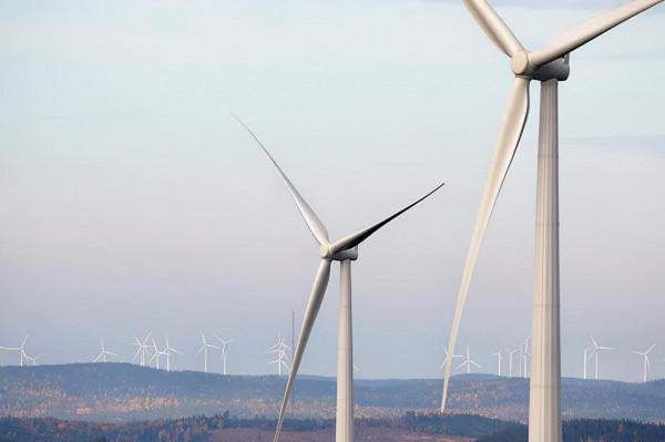 沙特企業擊敗含中國在內的多國公司,中標烏茲別克專案 沙特企業擊敗含中國在內的多國公司,中標烏茲別克專案