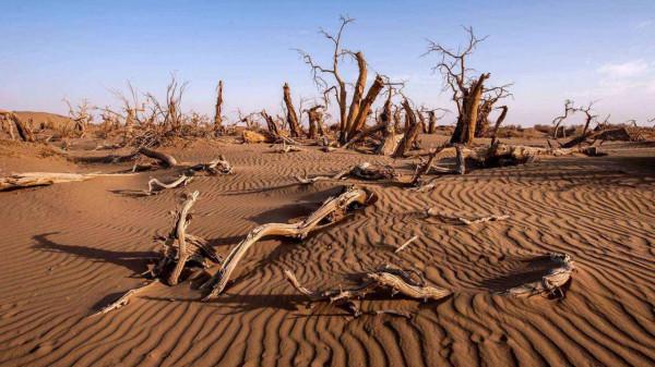 人類五大危機要爆發，曾仕強教授預測人口危機已經得到驗證