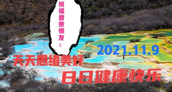 四川十一月應景（4）