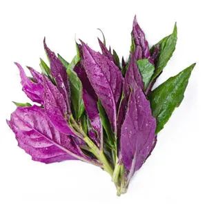 這些保健蔬菜的營養與栽培方法你都知道嗎？