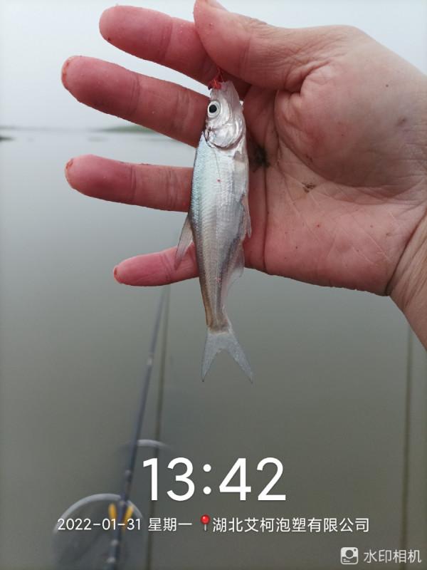 新年新氣象，虎年首釣完美爆護