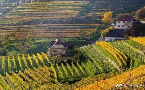 “愛吃中餐的歐洲國家”之“奧地利”現狀，帶你看看真實的奧地利