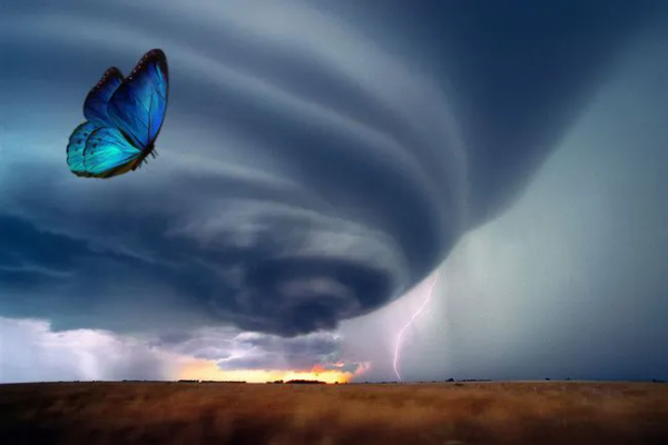 一隻蝴蝶扇動幾下翅膀，可以引起一場龍捲風？