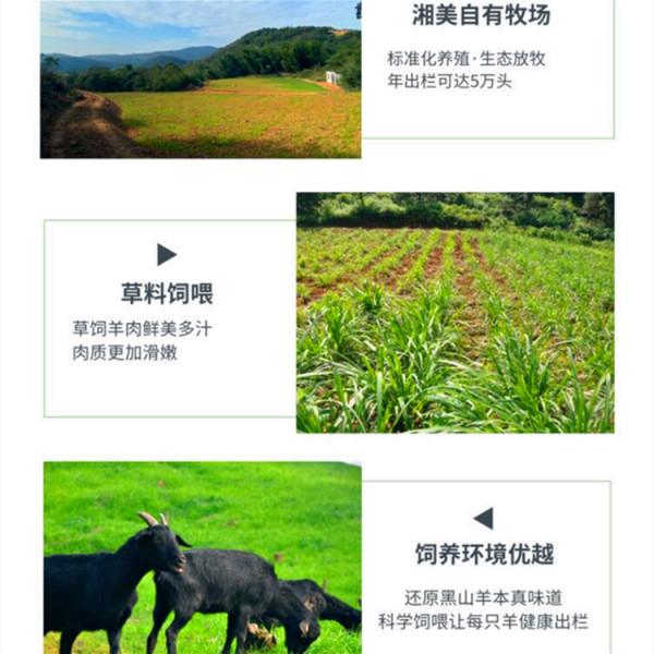 黑山羊,青乾草料的儲備方法與種類 黑山羊,青乾草料的儲備方法與種類