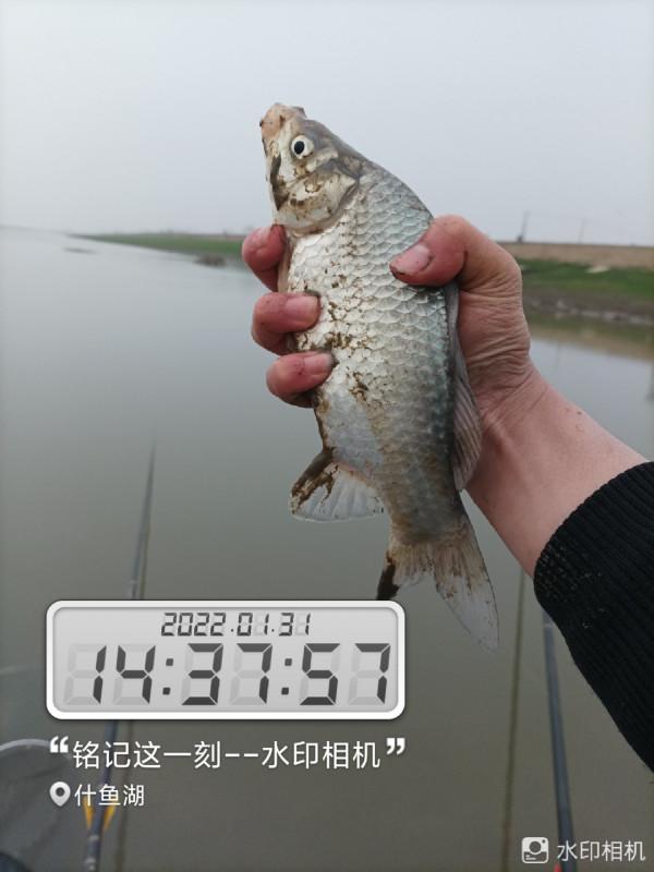 新年新氣象，虎年首釣完美爆護