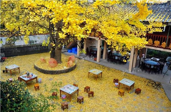 醉美中國，在秋天