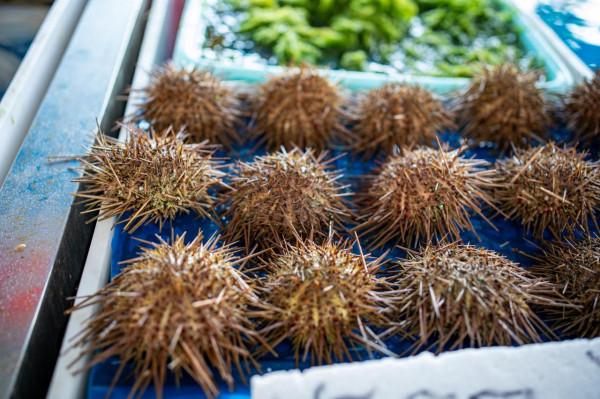 南沙十九湧漁人碼頭，週末好去處，海鮮和特產是否真便宜呢？